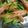 なでしこ322's cooksnap of when they made 「ほぼカニ」で作る塩揉み野菜.