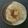 クックキノ's cooksnap of when they made 手羽先と大根の梅干し煮.