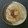 クックキノ's cooksnap of when they made 手羽先と大根の梅干し煮.