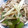 arisa06's cooksnap of when they made オクラとしめじの煮びたし★.