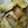 kojikoji31's cooksnap of when they made 簡単しっとり♪鶏ささみのチーズピカタ.
