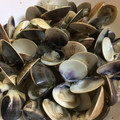 ma710ma's cooksnap of when they made はまぐり☆の酒蒸し.