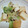kumaya3224's cooksnap of when they made 厚揚げとたっぷり野菜の味噌炒め♪.