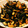 KAN185's cooksnap of when they made 簡単！ひじきの煮物.
