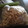 Amalka's cooksnap of when they made もやしの保存.