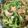 クックA43M15☆'s cooksnap of when they made ☆豆苗・ベーコン・エリンギの炒め物☆.
