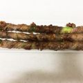∞らら∞'s cooksnap of when they made 牛肉巻きアスパラ.