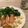 ぐぐったん's cooksnap of when they made 香ばしいチキン☆ナンプラー風味.