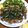 キョヲ's cooksnap of when they made さ～っぱり！和風ステーキ♪.