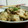 友遊♪'s cooksnap of when they made とりたま焼きそうめん.