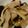 クック54UTH0☆'s cooksnap of when they made 豚バラとなすの炒め物.