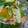 ぱんだ9X6LT1☆'s cooksnap of when they made 今が旬★秋鮭ときのこの包み焼き.