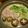 のりてぃｓｘ's cooksnap of when they made ごま香るホワイト豆乳鍋.