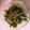 OXNARD's cooksnap of when they made モロッコいんげんともやしの和風ナムル。.