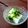 こは＊'s cooksnap of when they made 長ネギの塩ナムル.