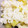 よし乃1987's cooksnap of when they made さつまいもの炊き込みごはん♪.
