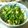 やすらー's cooksnap of when they made 春色・ほうれん草とコーンのバター醤油炒め.