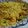 8itao8's cooksnap of when they made おからのカレー炒め.