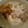 モータル's cooksnap of when they made 鮭のマヨ玉ねぎソース.
