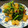 ちっちにゃん☆'s cooksnap of when they made さつま芋と小松菜の胡麻和え【減塩食】.