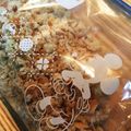 量子♬'s cooksnap of when they made 手作りパン粉♪.