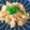 mapix1234's cooksnap of when they made 和風鮭炒飯.