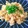 mapix1234's cooksnap of when they made 和風鮭炒飯.