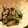 みずたまのm's cooksnap of when they made 定番簡単！茄子の味噌炒め.