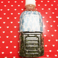 クック3IE83B☆'s cooksnap of when they made シソの実の塩漬け.