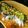 こぶたちゃんGOGO's cooksnap of when they made ★美味しいサンマの刺身の作り方＆食べ方★.