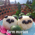 もりあん農園's cooksnap of when they made すだちで動物の後ろ姿な飾り切り♡.