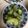 ともぱんたから's cooksnap of when they made ヨーグルトで、お漬物.