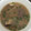 レイアのマム's cooksnap of when they made 捨てないで♪魚の頭の利用法.