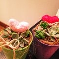 elingo's cooksnap of when they made 簡単★夏野菜のけんちんうどん☆.