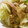 低カロ探検隊's cooksnap of when they made 簡単☆お弁当☆『生姜を食べる！野菜炒め』.