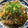 natume818's cooksnap of when they made もやしとワカメのさっぱりサラダ.