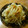 低カロ探検隊's cooksnap of when they made ごぼうのごま酢和え.