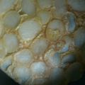 ながれまま's cooksnap of when they made 簡単ジャガイモ玉子焼き.