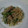 ひろここ☆'s cooksnap of when they made 簡単!!ご飯がススム豚ニラもやし♪.