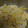 はるむかのん's cooksnap of when they made 柿の白和え風サラダ.