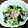 クック8VA57O☆'s cooksnap of when they made 簡単さっぱり酢の物 ちょっと一品に.