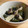 PUGｓ's cooksnap of when they made きのことワカメの胡麻酢味噌和え.