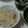 viviouji's cooksnap of when they made もち麦入り☆栗ごはん.
