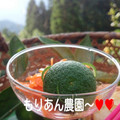 もりあん農園's cooksnap of when they made すだちで動物の後ろ姿な飾り切り♡.