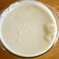 antkishi's cooksnap of when they made 爽やか♪ヨーグルトケーキ.