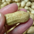 クックI68UWK☆'s cooksnap of when they made 生の落花生を美味しく茹でる方法.
