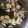 gggooon's cooksnap of when they made しいたけ香る☆豆腐とわかめのお吸い物.