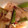 クックGFY8CA☆'s cooksnap of when they made エビとネギの簡単中華炒め.