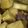 ○みつこ○'s cooksnap of when they made ♪おさつの甘辛煮♪.