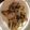 noriko7's cooksnap of when they made タラのムニエル　クリームソース.